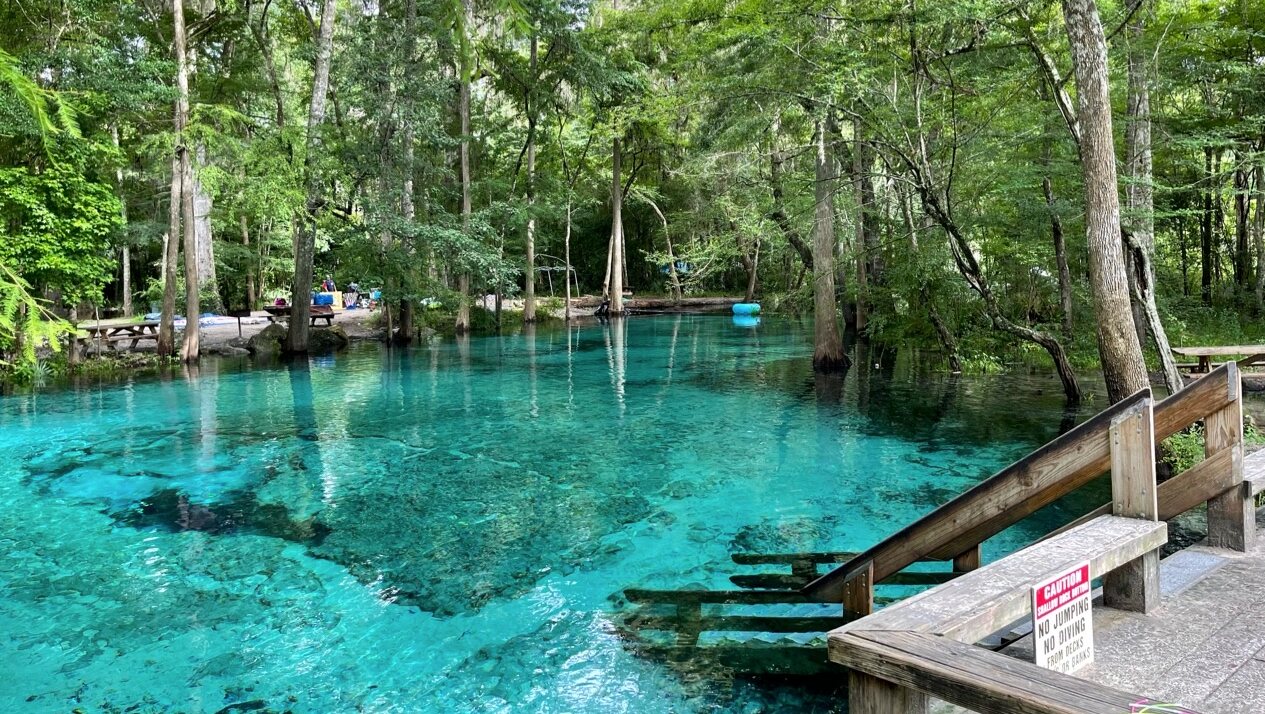 Clear turquoise spring surrounded by trees near High Springs