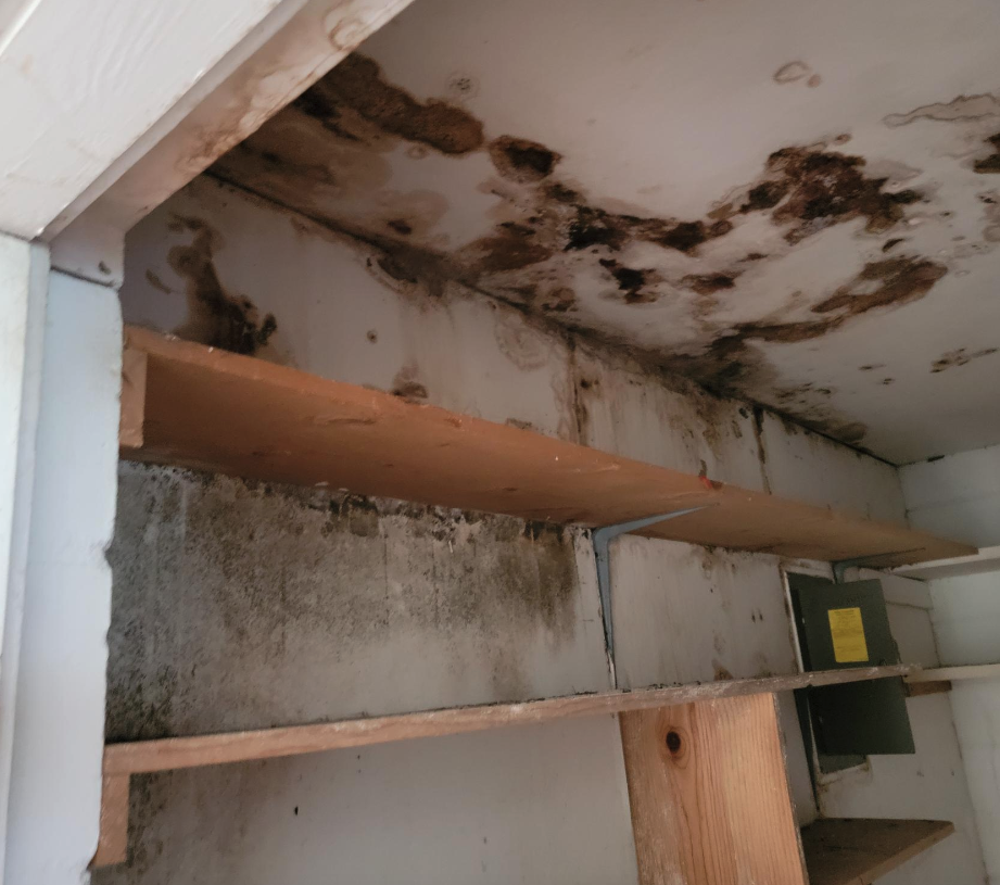 Mold and water damage observed in a cupboard during a home inspection.