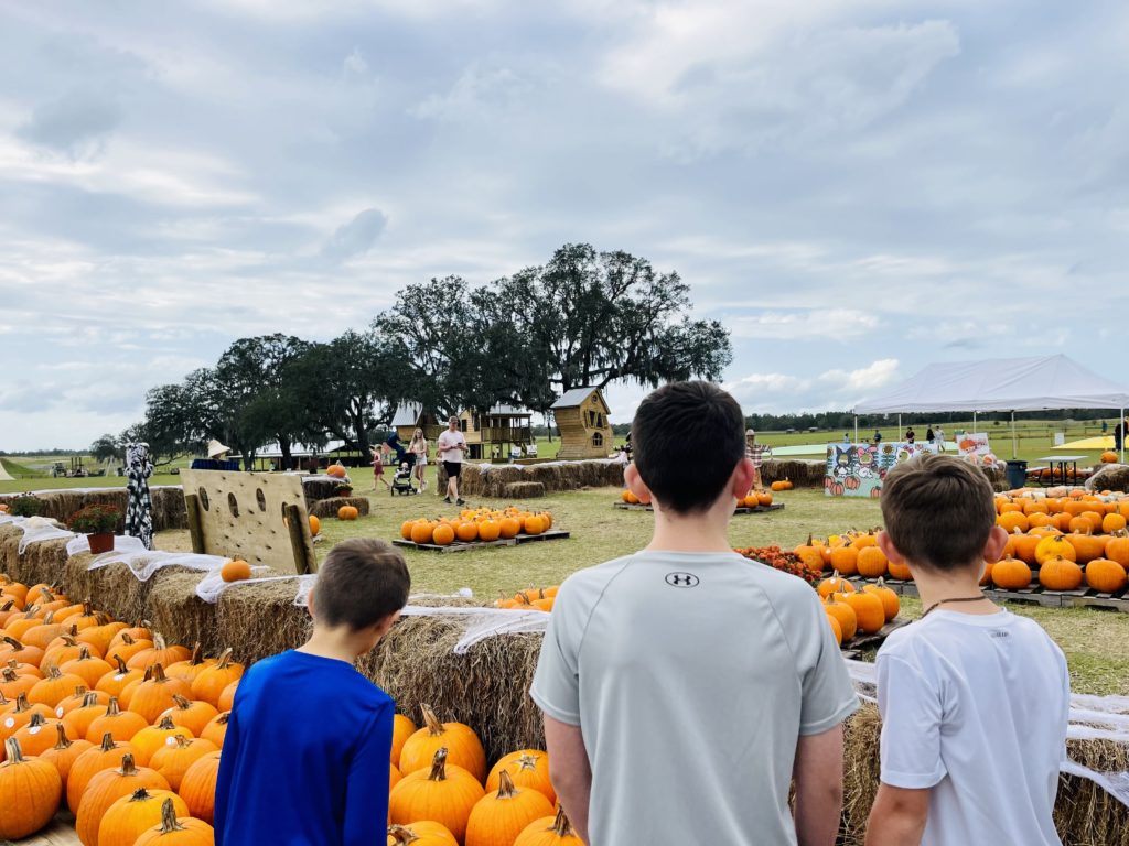 Three young boys overlooking a vibrant pumpkin patch with hay bales, and festive activities in the background, under a cloudy Gainesville, FL sky.