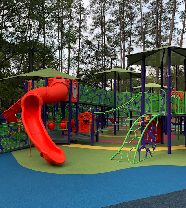 Colorful children's playground set in a park surrounded by tall pine trees in Gainesville, FL.